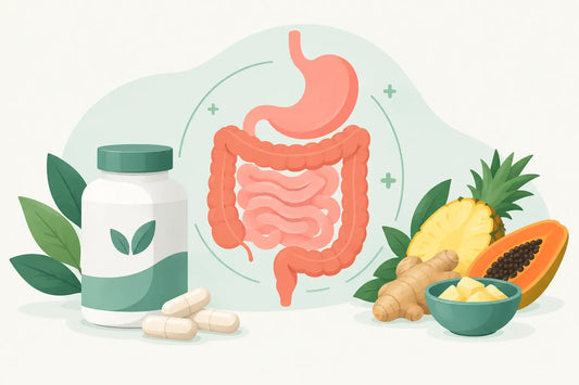 Your Guide to Digestive Enzyme Supplements